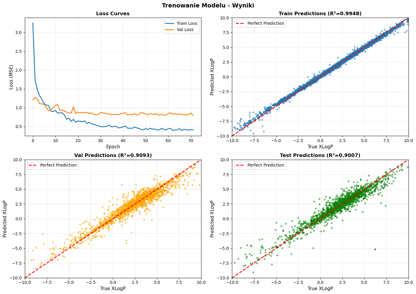 Training curves and parity plots